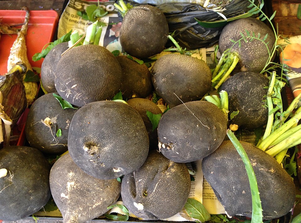 Редька
